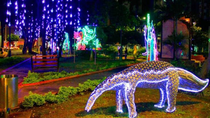 Alumbrado navideño Bucaramanga