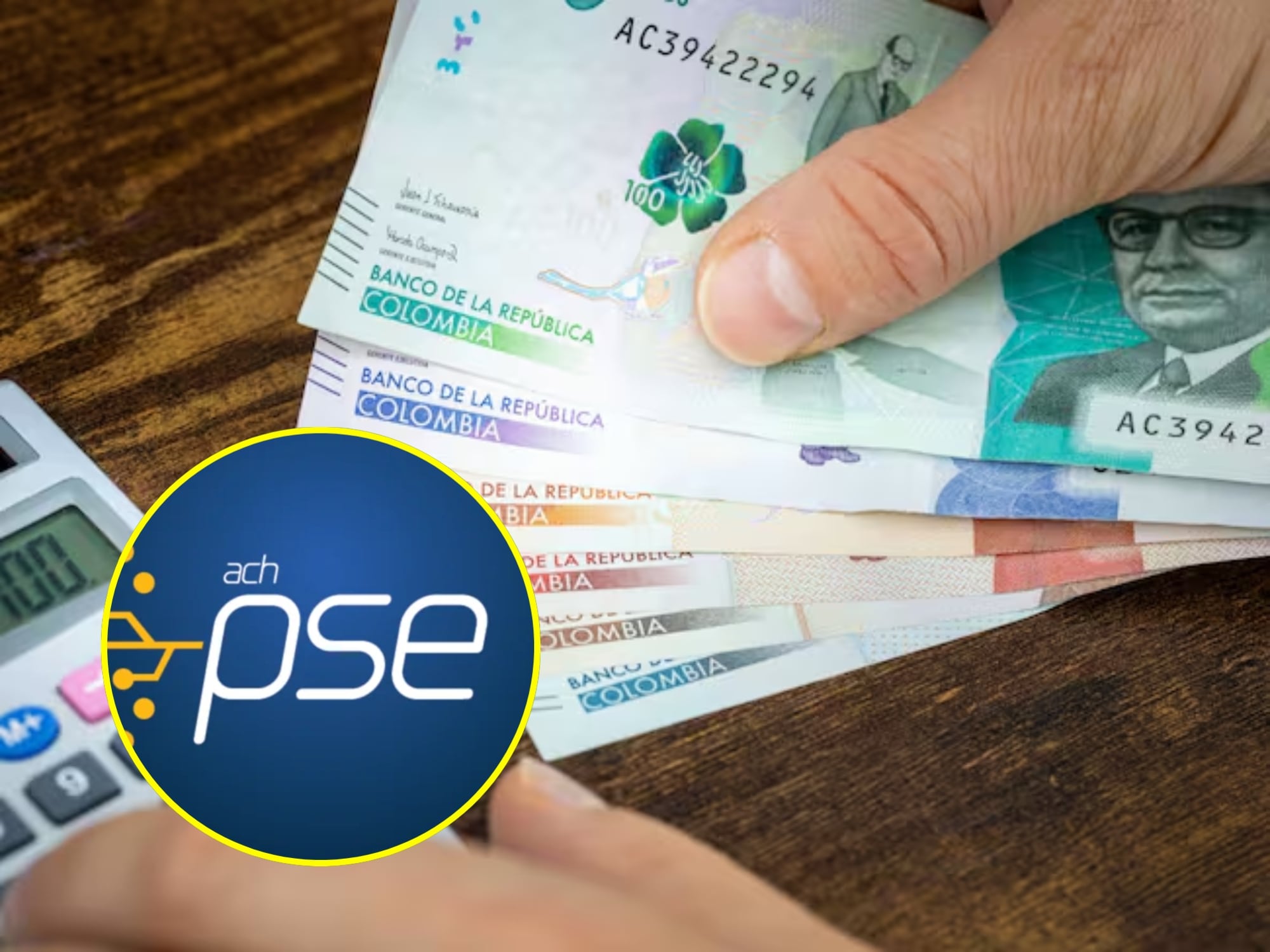 Pago de comparendo de convivencia por PSE