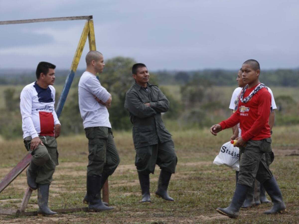 SENA se prepara para ofrecer educación a los excombatientes de las Farc