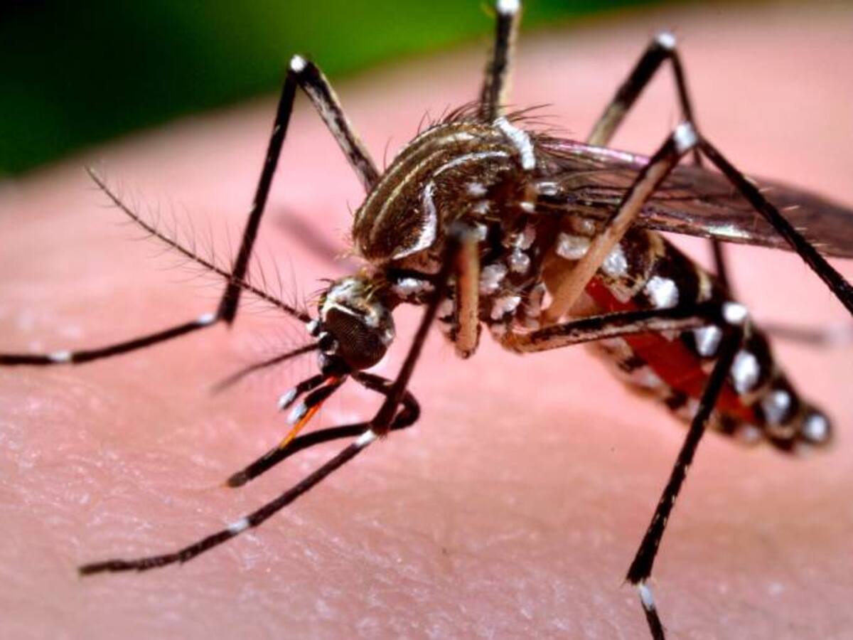 ICBF atiende caso de niña de 12 años embarazada e infectada con zika