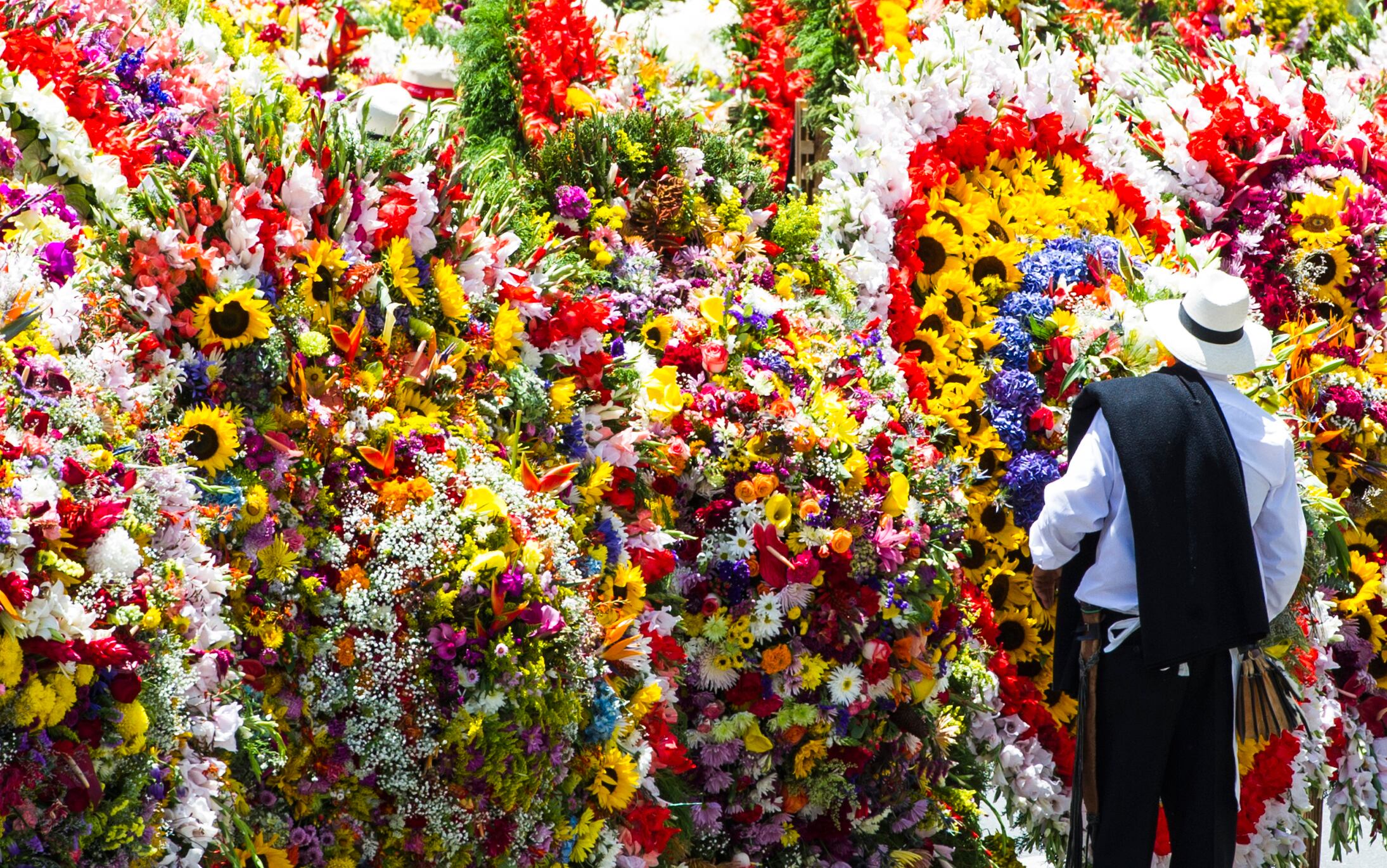 Las flores son su principal atractivo / Getty Images