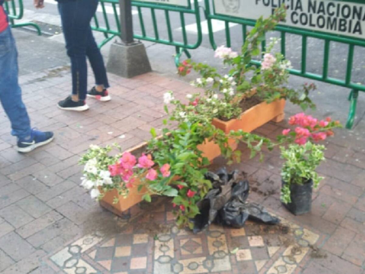 Alcaldía de Cúcuta retira vallas en parque Santander