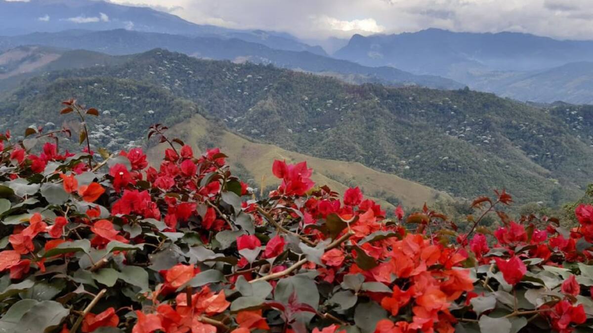 Inversionistas extranjeros operan a pesar de pandemia en el Quindío