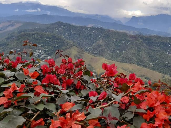 Inversionistas extranjeros operan a pesar de la pandemia del COVID-19