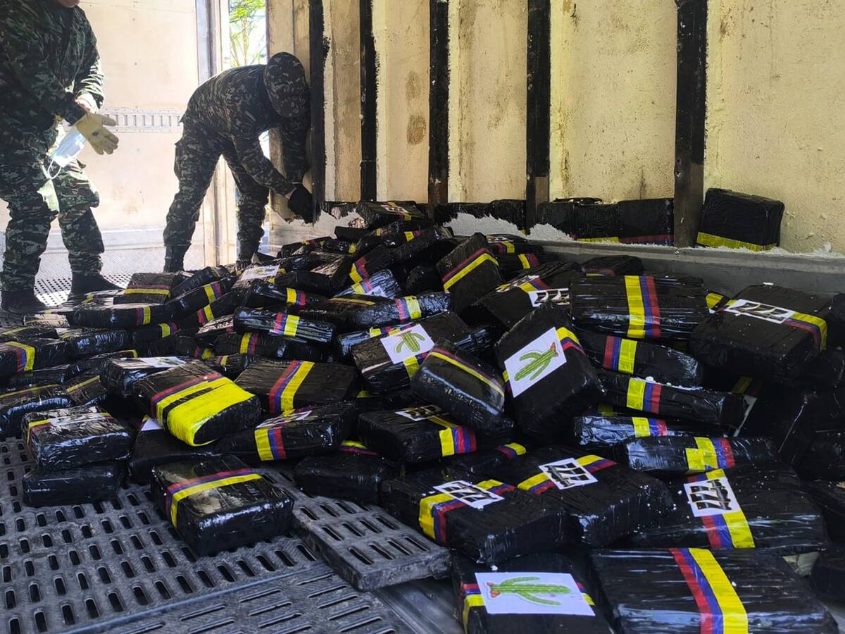 800 kilos de marihuana del bloque Isaías Pardo, incautados por el ejercito