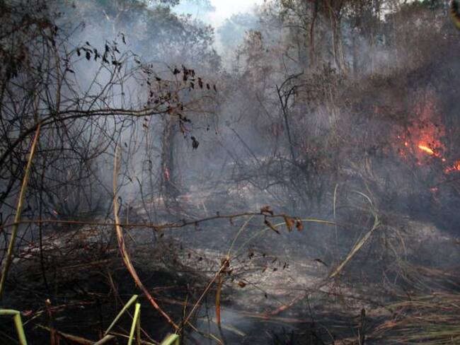 Alerta Roja y Naranja en la Orinoquia por posibilidad de incendios forestales