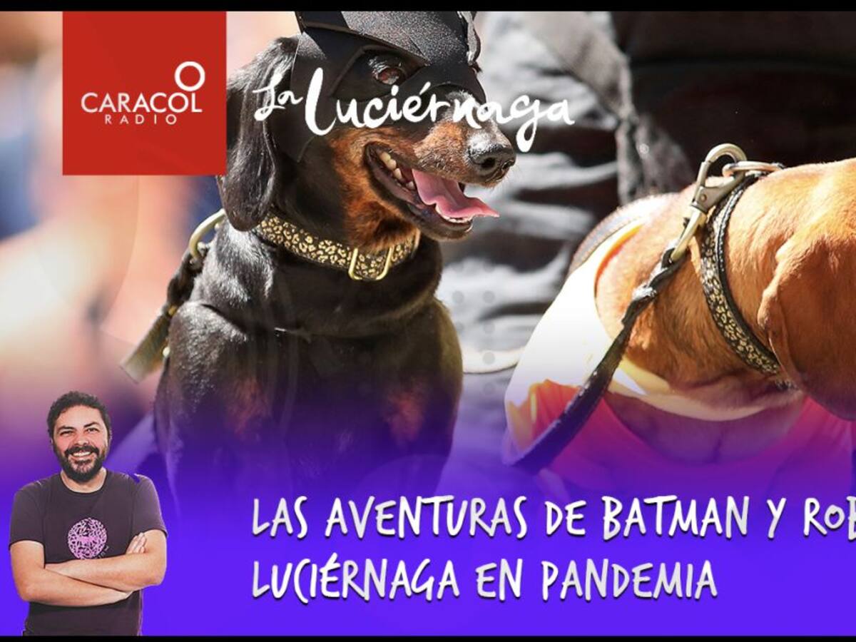 Las aventuras de Batman y Robin de La Luciérnaga en pandemia