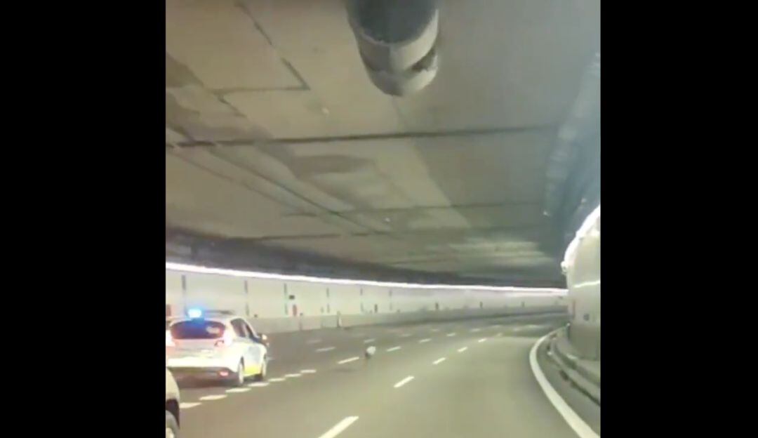 Policía escolta a un perrito