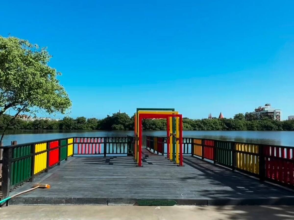 Reapertura del Parque Espíritu del Manglar en Cartagena será el próximo 26 de julio