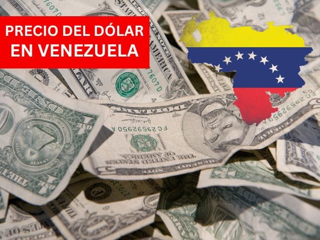 Precio del dólar en Venezuela para este 25 de septiembre de 2025 Foto: Getty Images