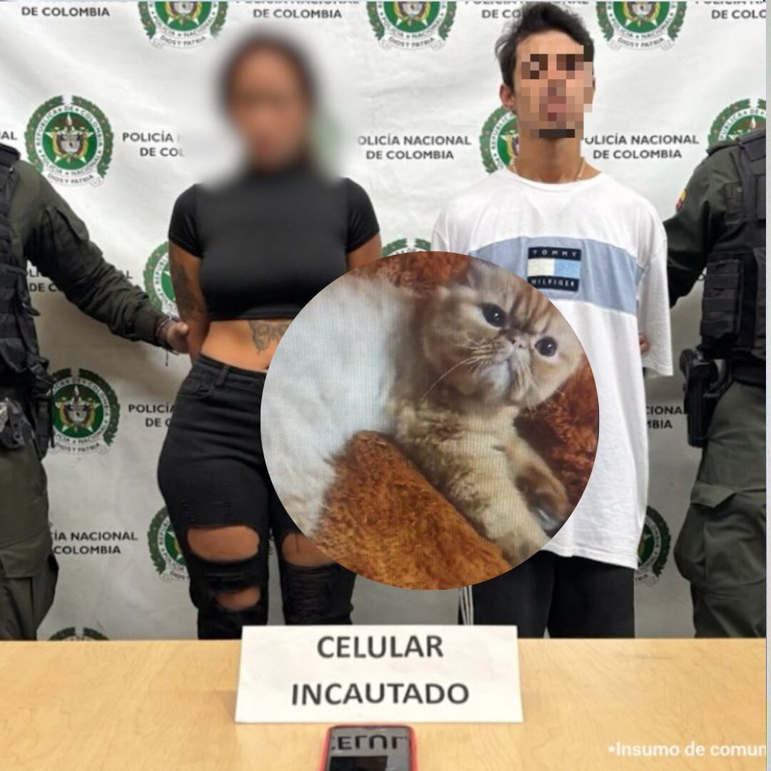 Capturados y gato secuestrados- fotos Fiscalía