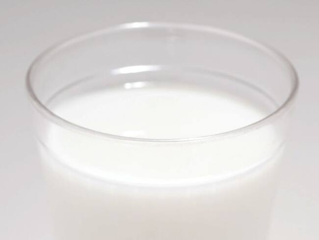 Duque cierra la puerta a la importación de leche y derivados