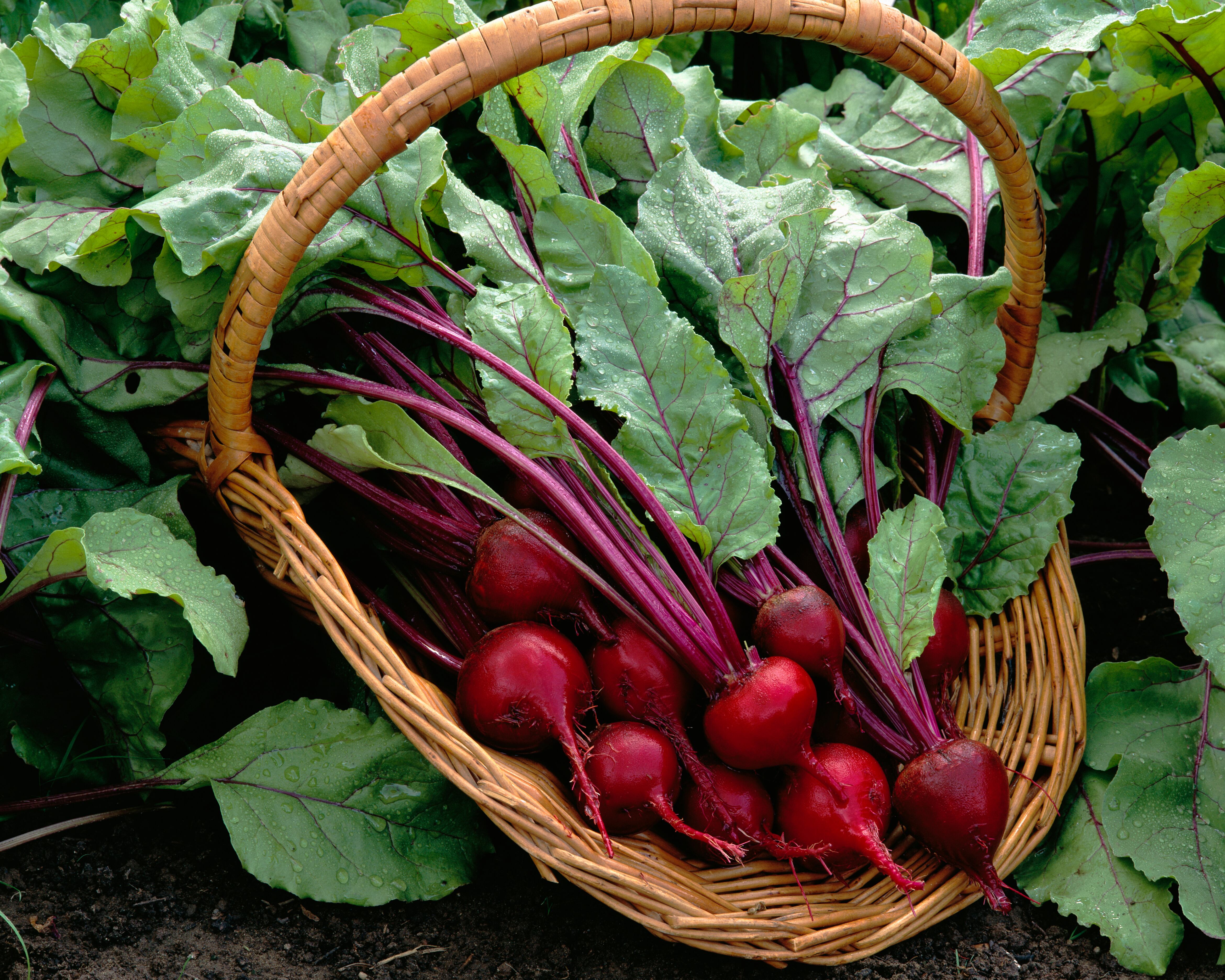 Canasta con remolachas (Getty Images)