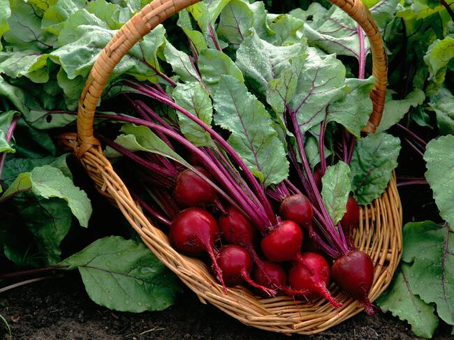 Canasta con remolachas (Getty Images)
