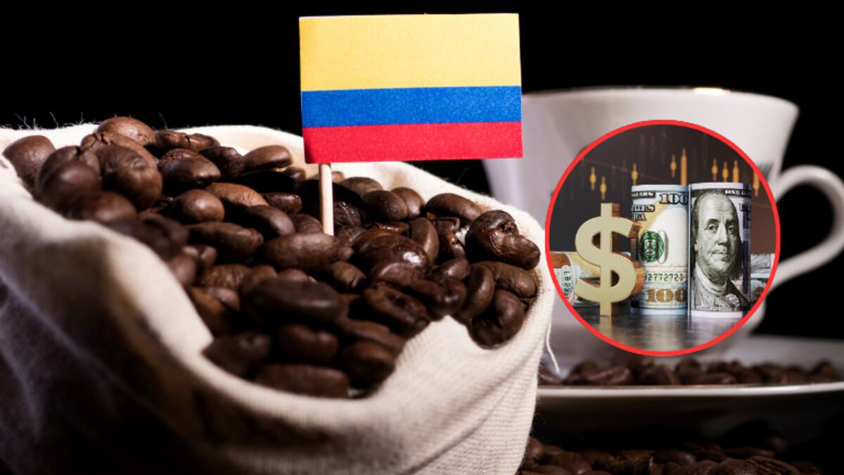 Precio del café HOY en dólares: expertos analizan qué va a pasar con su costo en el 2024