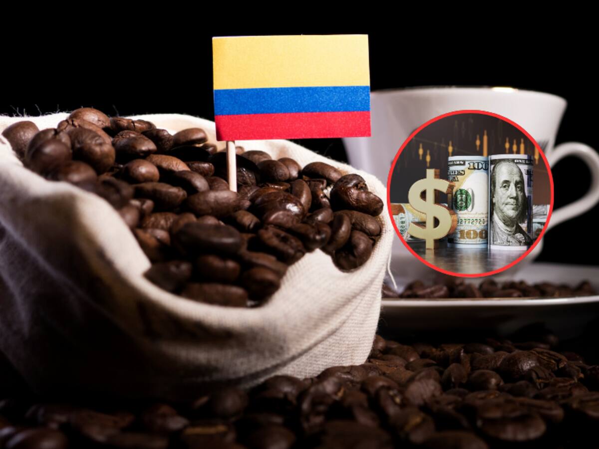 Precio del café HOY en dólares: expertos analizan qué va a pasar con su costo en el 2024