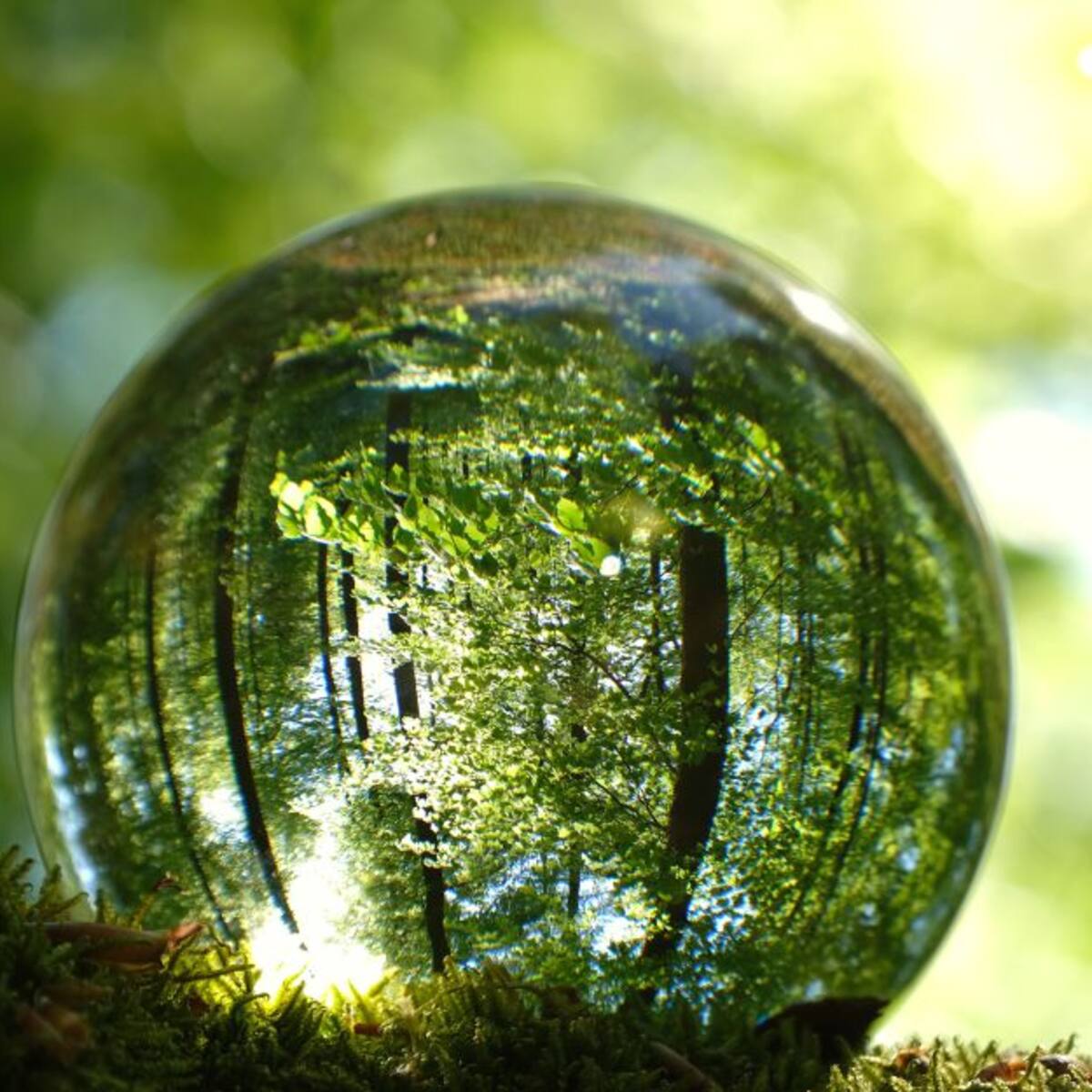 Los problemas socioambientales que aqueja a habitantes de Pirgua en Tunja