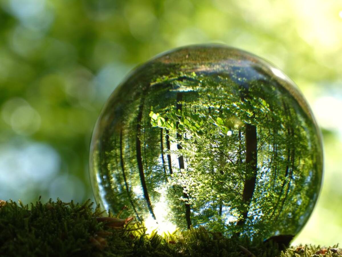 ¿Cómo está Colombia respecto al Cambio Climático?