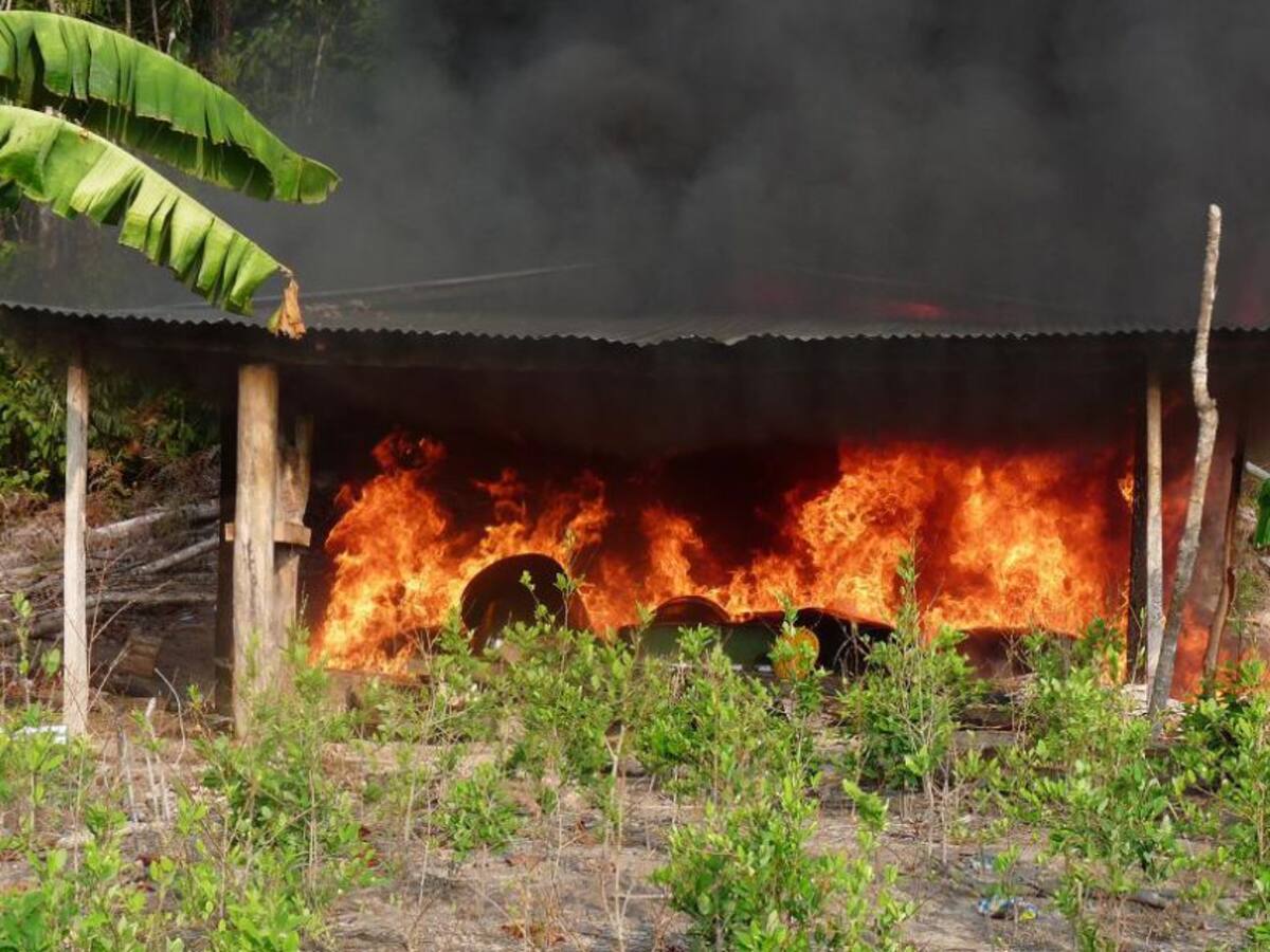Desmantelan 6 laboratorios de procesamiento de estupefacientes en Catatumbo