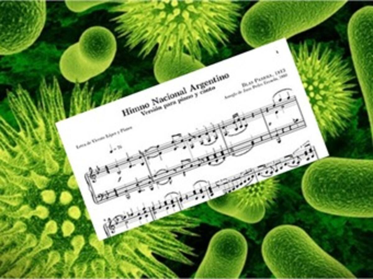 Hasta en las bacterias está el himno nacional argentino