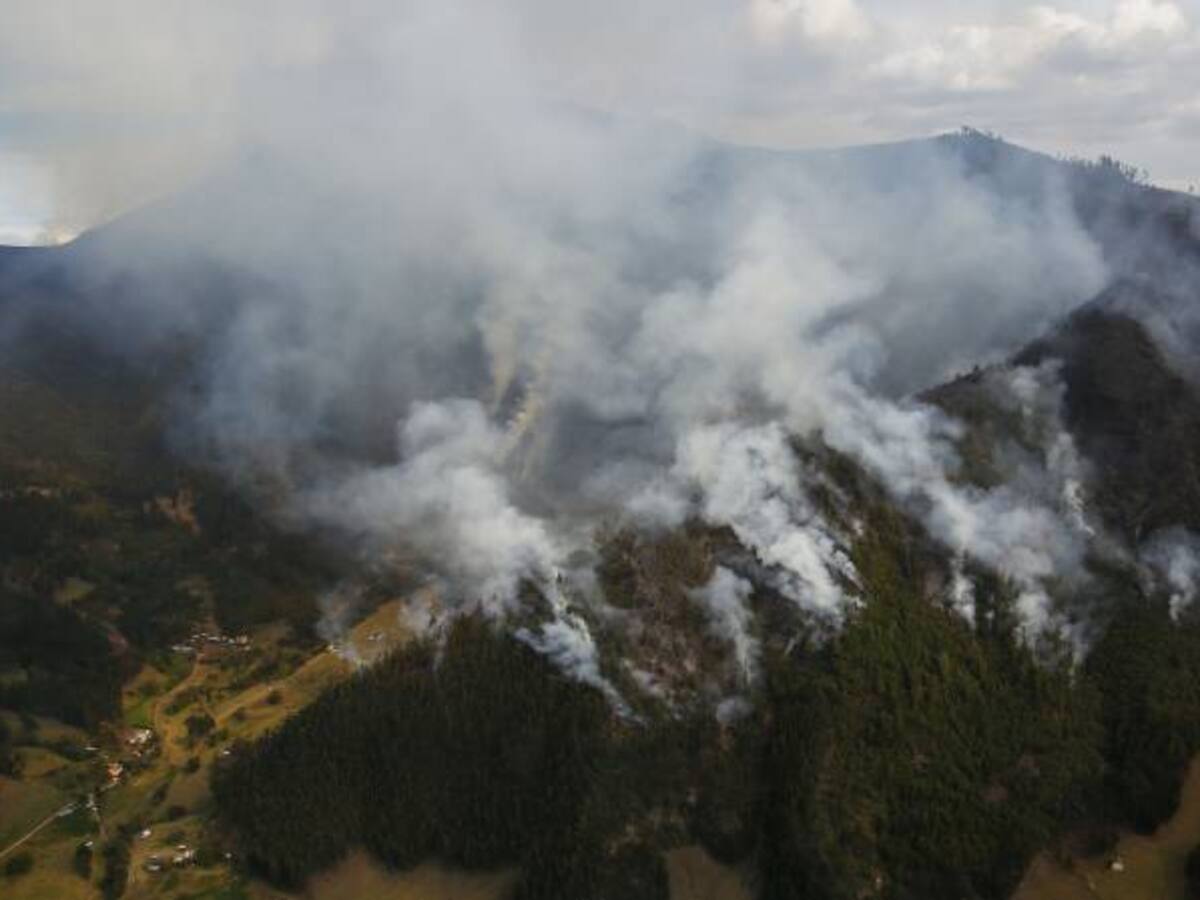 Hace 10 años no se afectaban tantas hectáreas por incendios: Car Cundinamarca