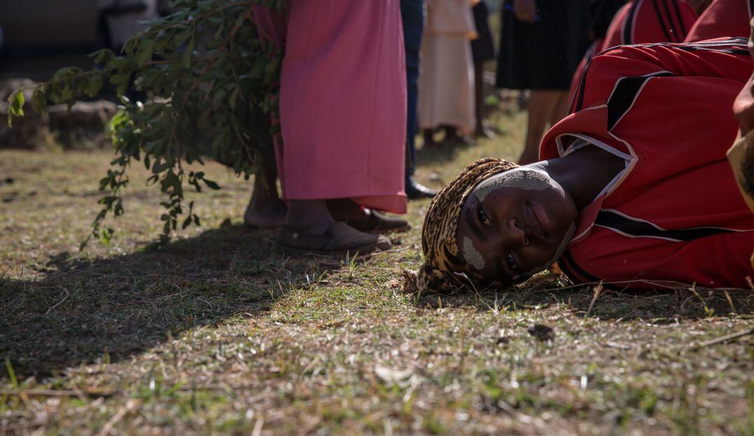 Imagen de referencia