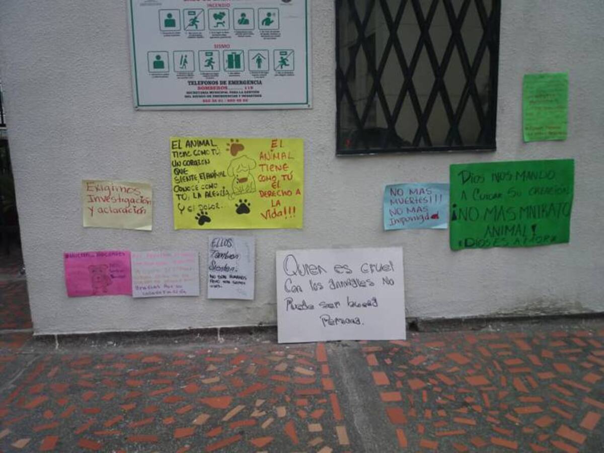 Rechazo en Cali por envenenamiento de 16 mascotas en unidad residencial