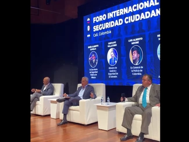 “No estamos luchando contra delincuentes comunes” Ministro de Seguridad del Salvador