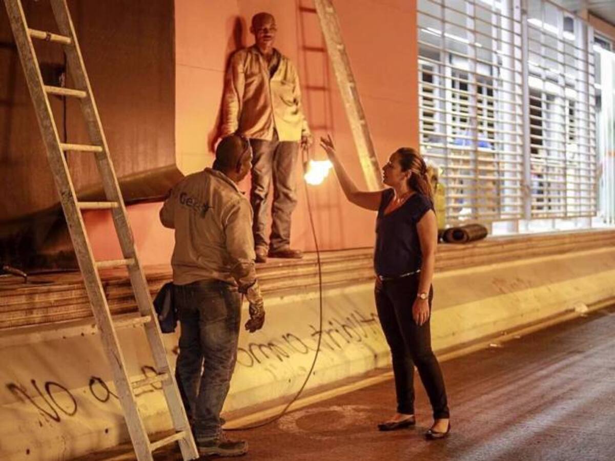 Para mitigar el calor en estaciones de Transcaribe instalan jardines verticales