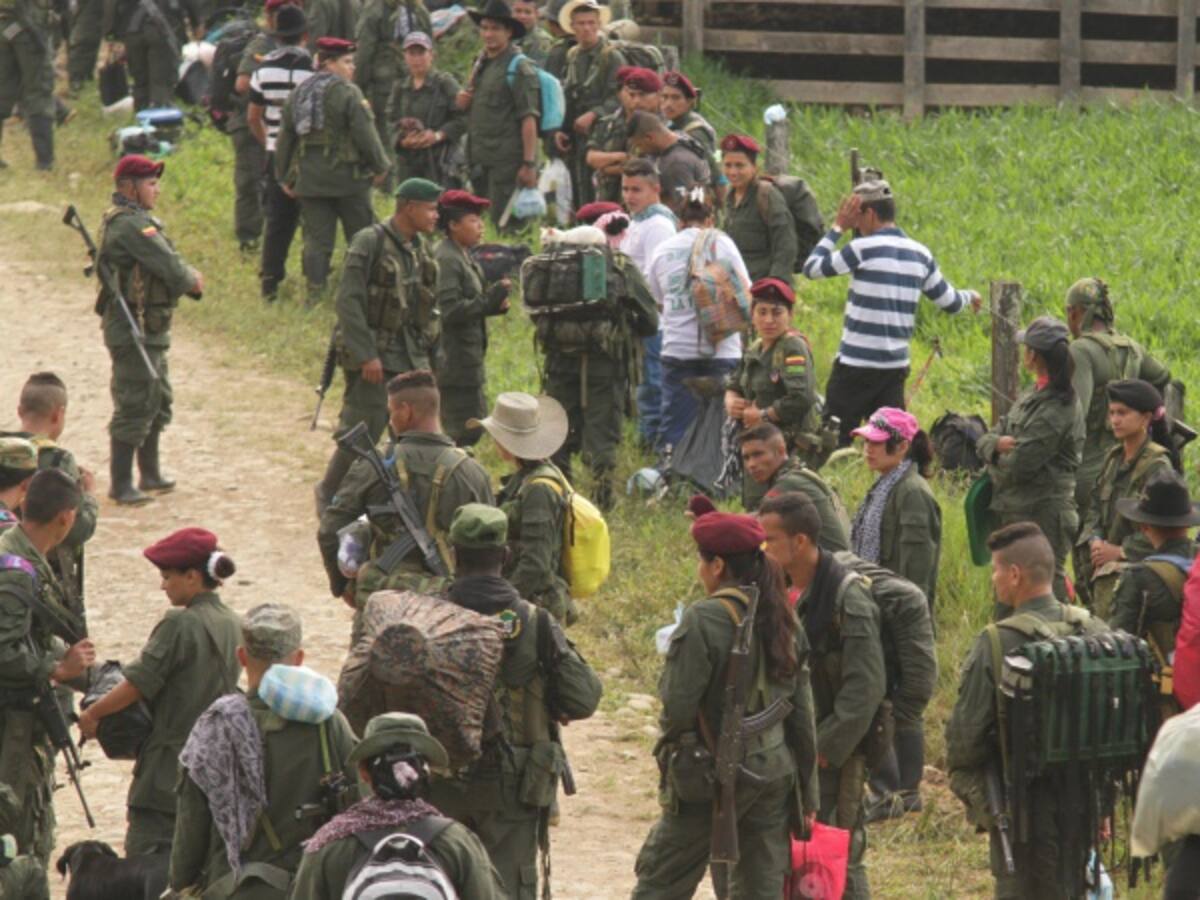 Por decreto Gobierno garantiza suspensión de ordenes de captura a ex integrantes de las Farc