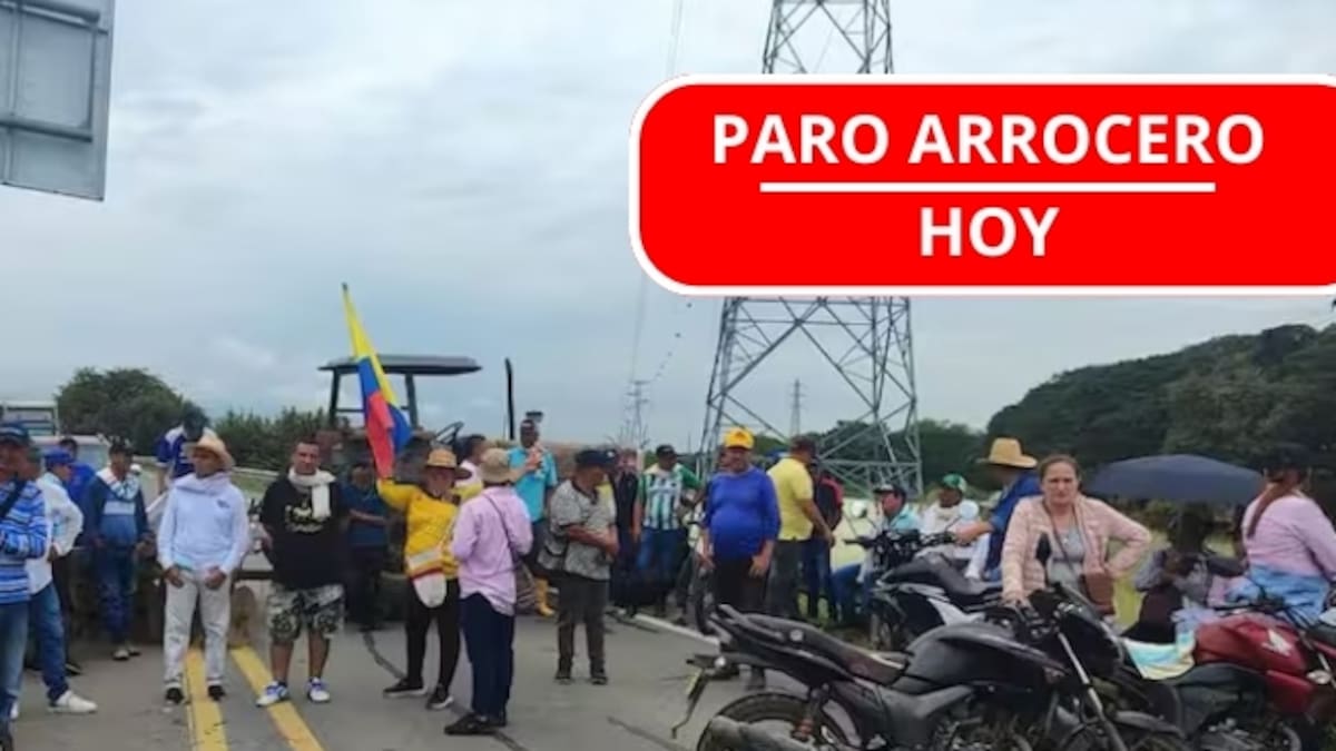 ¿Cómo va el Paro Arrocero 2025? Así está el cierre de vías en el Tolima y el centro del país