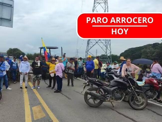 Foto: archivo // Paro arrocero HOY