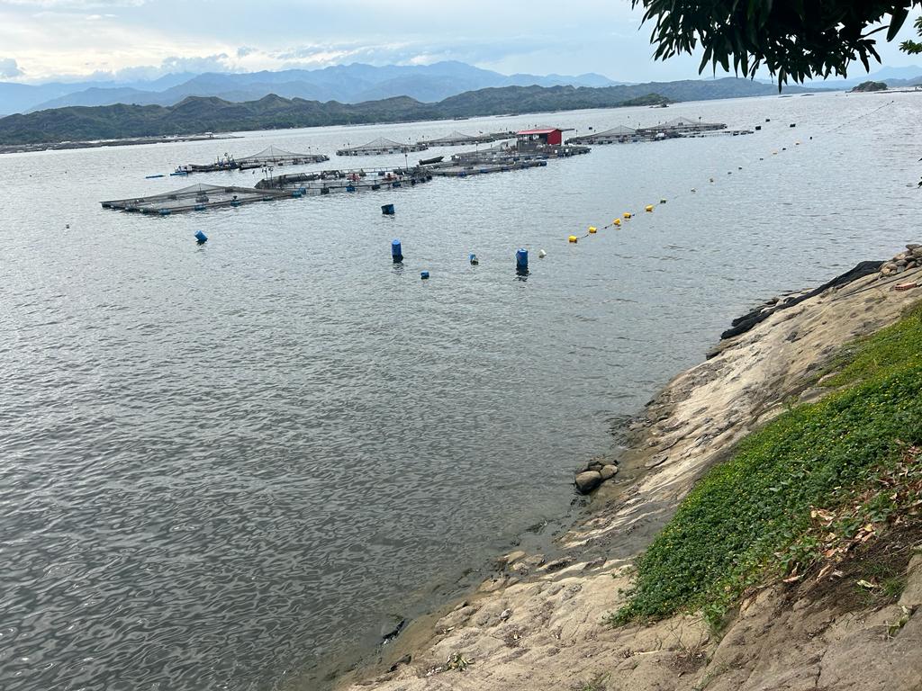 Bajo nivel de agua en la Represa de Betania.