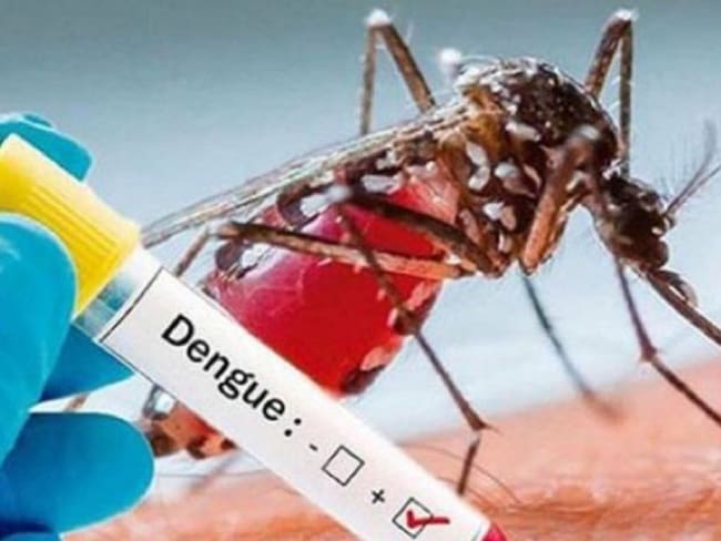 Casos de dengue en Bucaramanga se aproximan a los 900