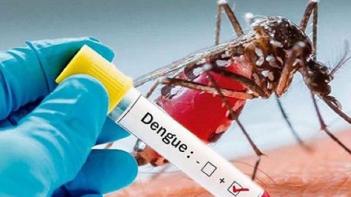 Casos de dengue en Bucaramanga se aproximan a los 900