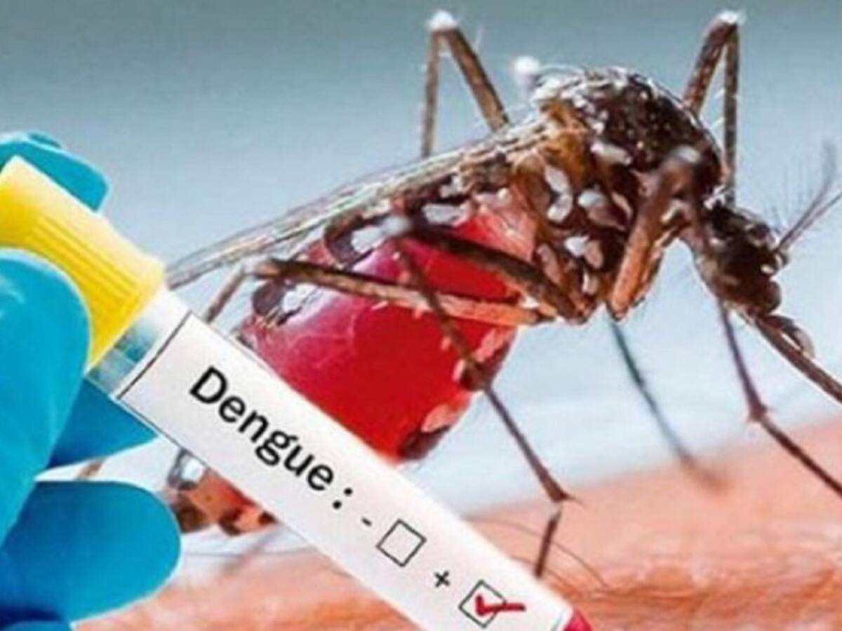 Casos de dengue en Bucaramanga se aproximan a los 900