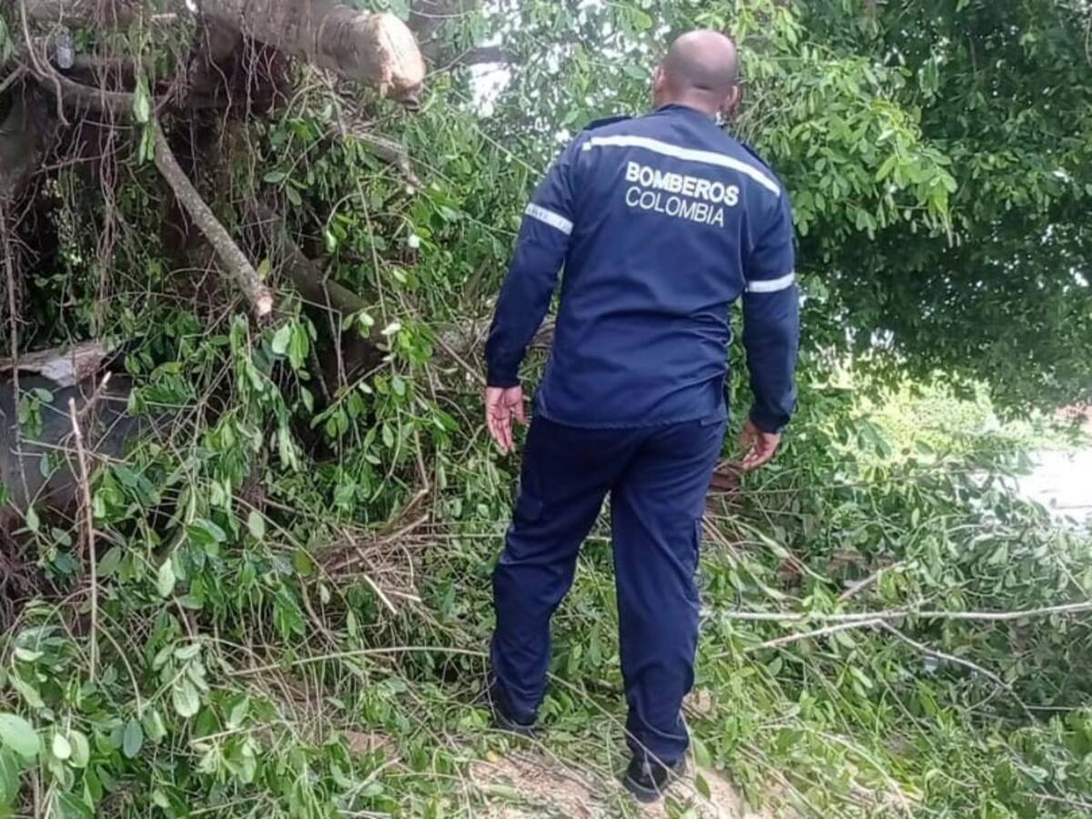 Cuerpo de Bomberos de Cartagena atendió 124 emergencias durante agosto