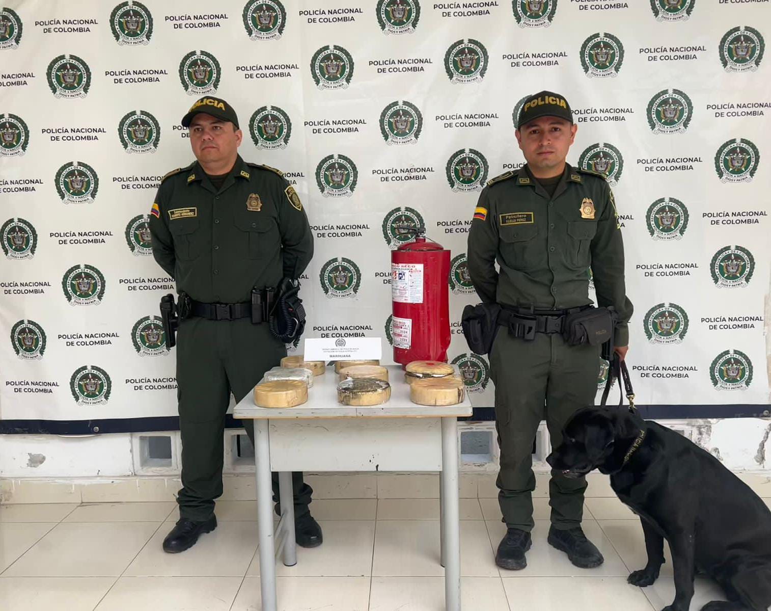 8 paquetes prensados de marihuana, con un peso total de aproximadamente 8.3 kilogramos incautados.