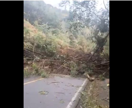 Derrumbe loma de Los Balsos- foto cortesía