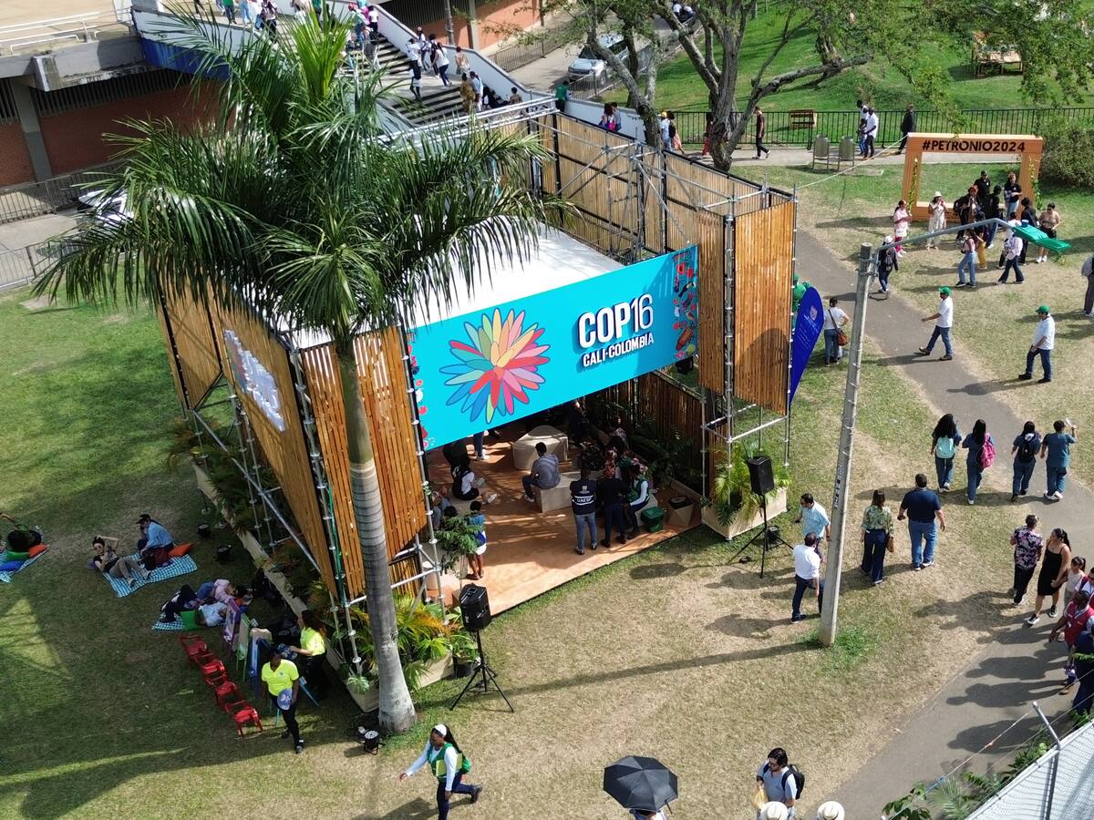 COP16: Lista de eventos gratuitos imperdibles en Cali para conectarse con la naturaleza