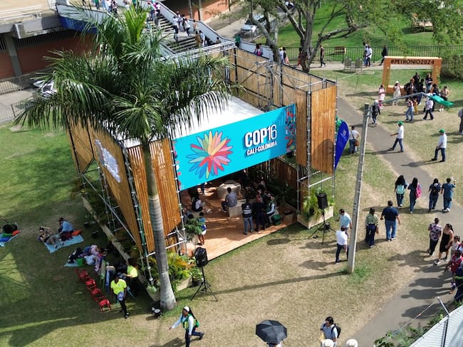El stand de Colombia en la COP16, festival Petronio Álvarez en Cali. (Fotografía de: Sebastian Marmolejo/Long Visual Press/Universal Images Group vía Getty Images)