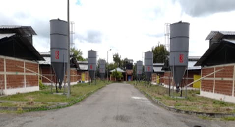 Crédito: Sociedad de Activos Especiales