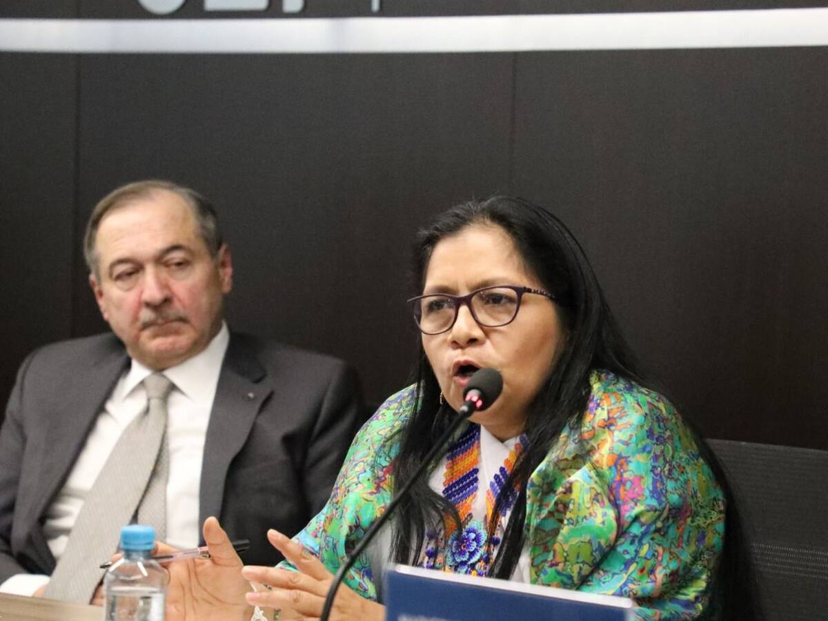 JEP prioriza macrocasos en torno al medio ambiente