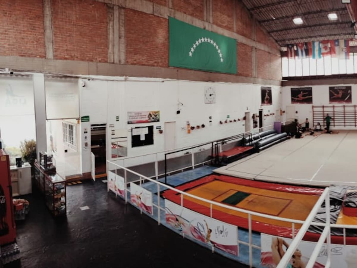 Alcaldía de Pereira pidió lote donde funcionan ligas de gimnasia, pesas y fútbol de salón