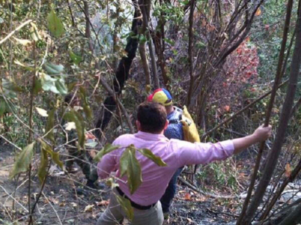 Por tierra y aire, bomberos combaten incendio la Sierra Nevada de Santa Marta