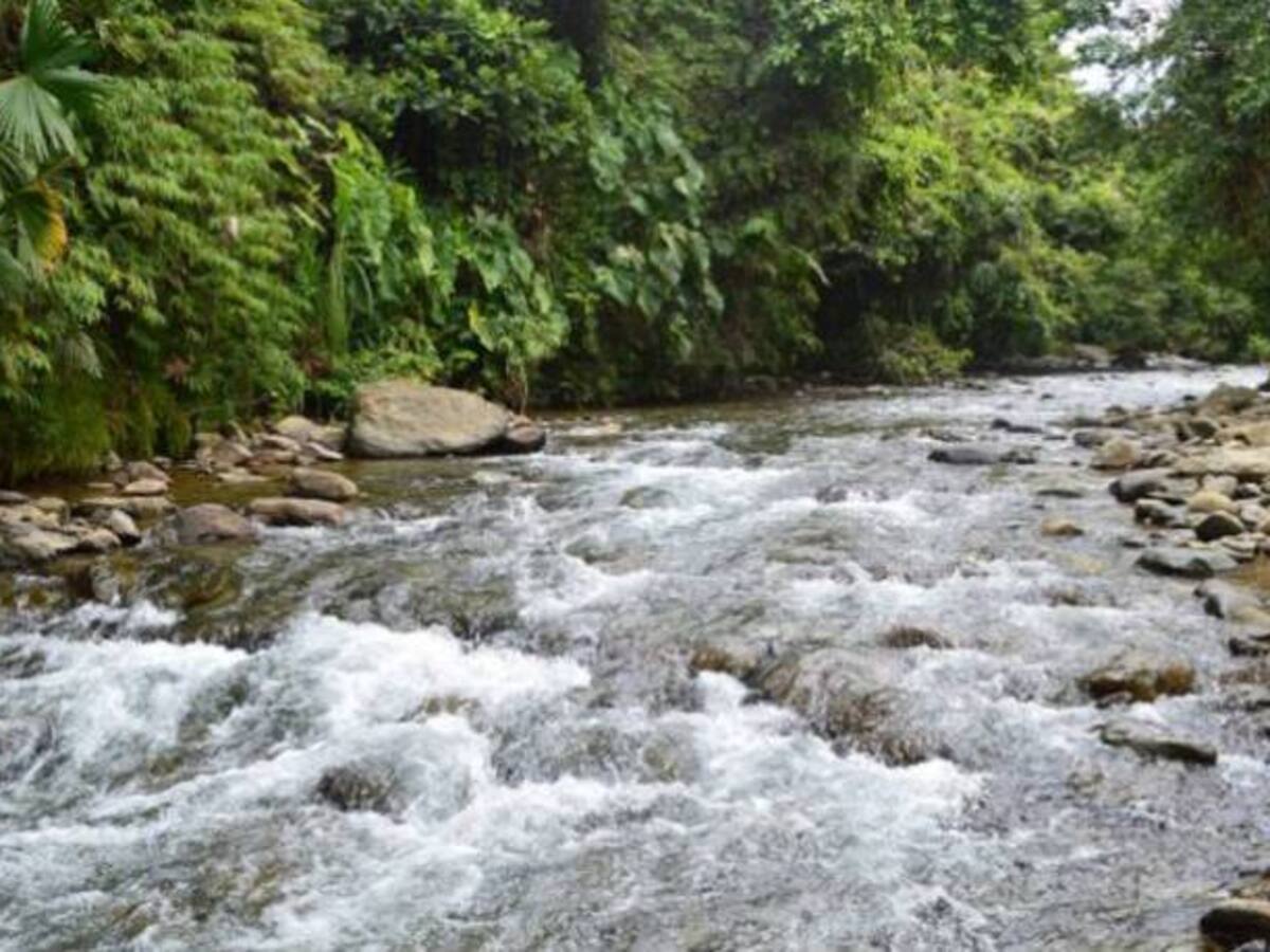 Carder investiga presunto daño ambiental a dos importantes ríos de Quinchía