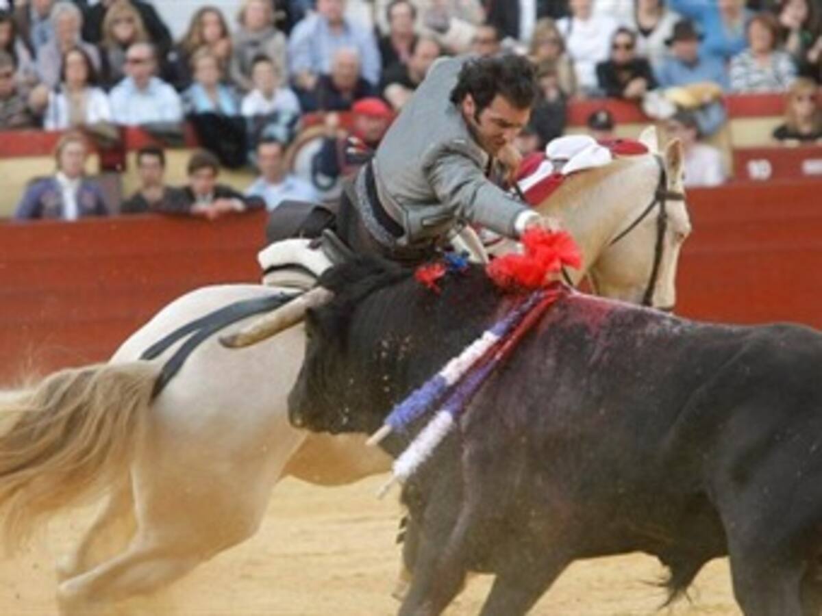 Alcalde niega permiso para corrida de toros en Cartagena