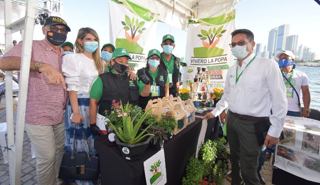 Negocios verdes