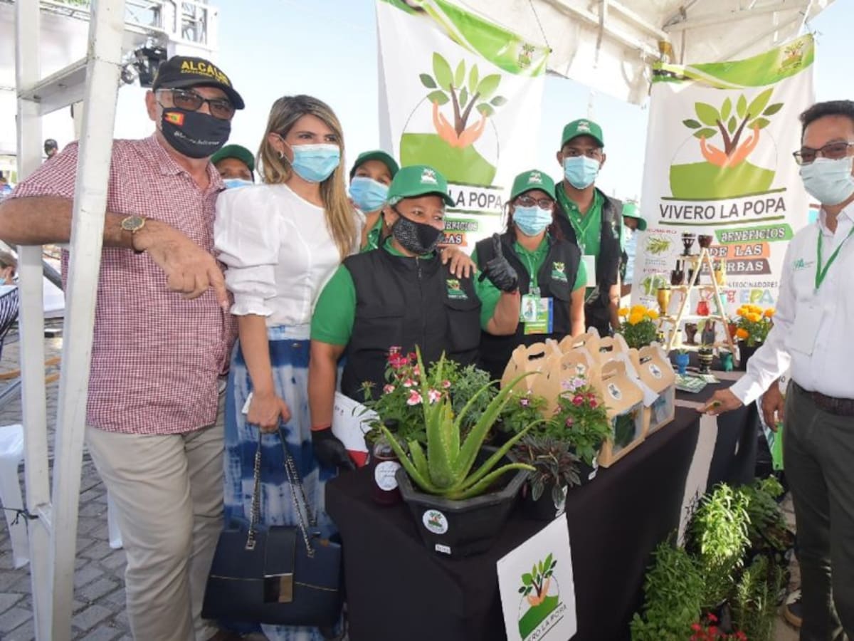 Cerca de $300 millones en apoyos recibieron negocios verdes de Cartagena