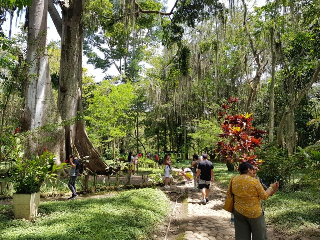 Parque natural El Gallineral en San Gil.